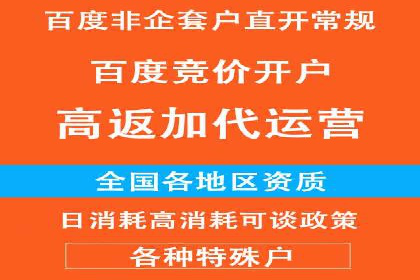 SEM代运营案例分析：精准投放策略解析